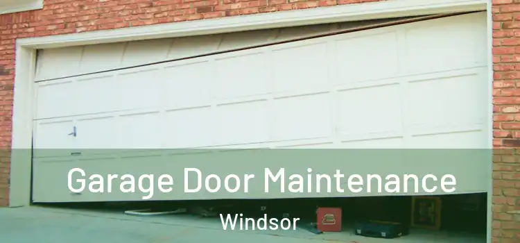 Garage Door Maintenance Windsor