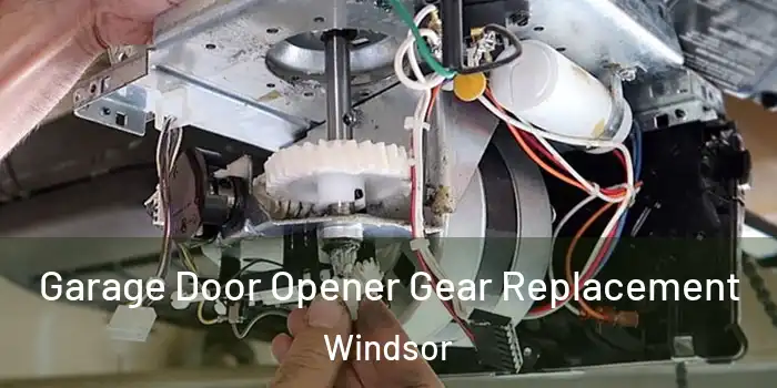 Garage Door Opener Gear Replacement Windsor