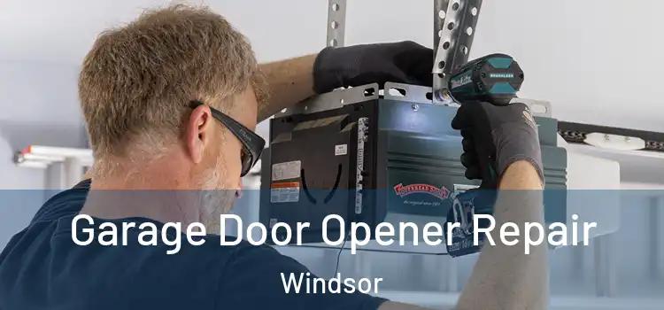 Garage Door Opener Repair Windsor
