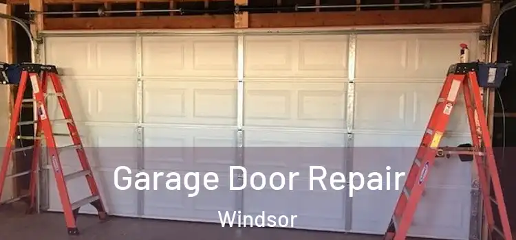 Garage Door Repair Windsor
