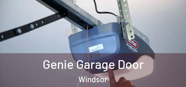Genie Garage Door Windsor