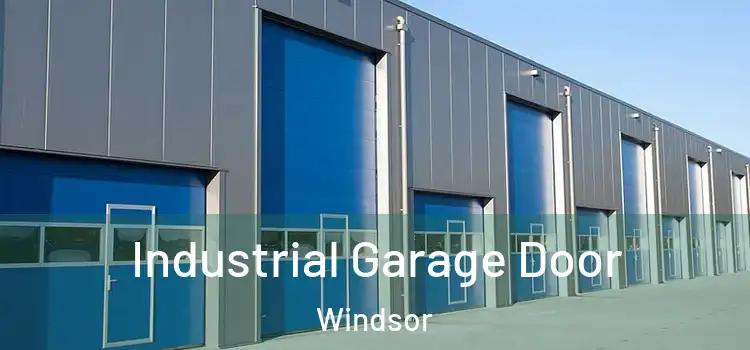 Industrial Garage Door Windsor