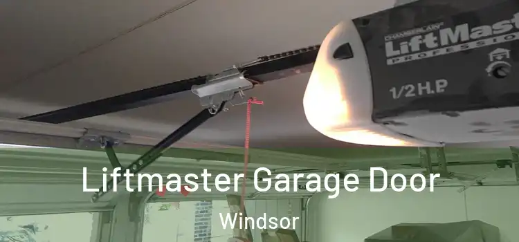 Liftmaster Garage Door Windsor